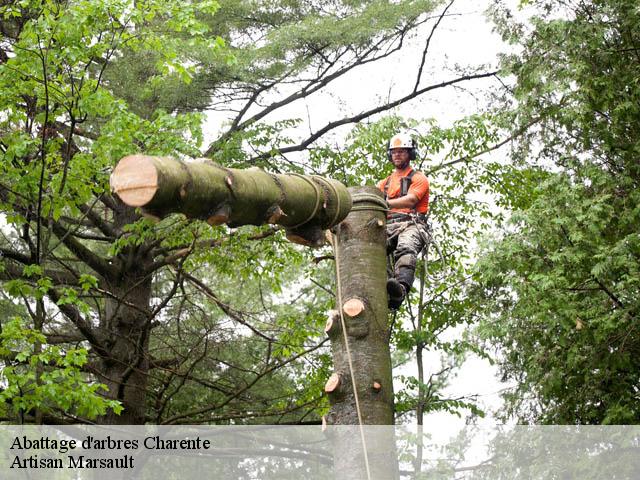 Abattage d'arbres 16 Charente  Artisan Marsault