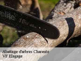 Abattage d'arbres 16 Charente  VF Elagage