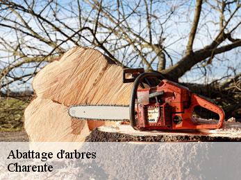 Abattage d'arbres Charente 