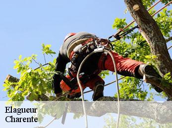 Elagueur Charente 