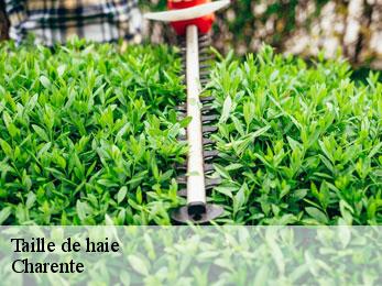 Taille de haie Charente