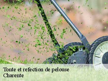 Tonte et refection de pelouse Charente 