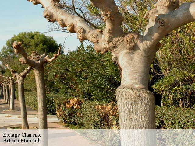 Etetage 16 Charente Artisan Marsault