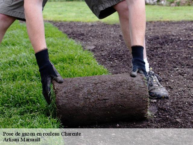 Pose de gazon en rouleau 16 Charente  Artisan Marsault