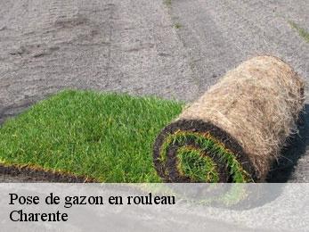 Pose de gazon en rouleau Charente