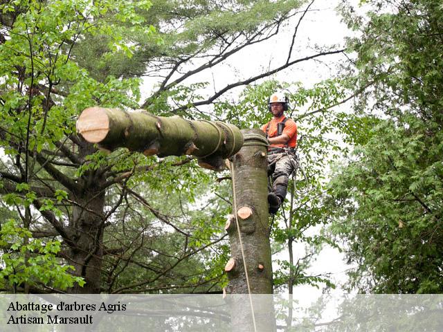 Abattage d'arbres  agris-16110 Artisan Marsault