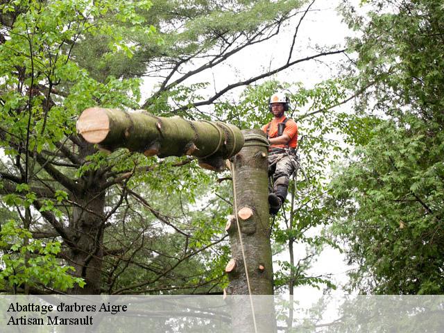 Abattage d'arbres  aigre-16140 Artisan Marsault