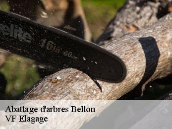 Abattage d'arbres  bellon-16210 VF Elagage