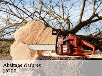 Abattage d'arbres 16700