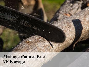 Abattage d'arbres brie-16590 VF Elagage