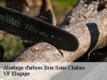 Abattage d'arbres  brie-sous-chalais-16210 VF Elagage