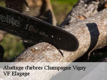 Abattage d'arbres  champagne-vigny-16250 VF Elagage