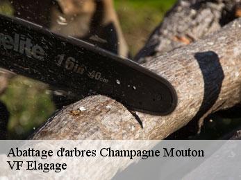 Abattage d'arbres  champagne-mouton-16350 VF Elagage