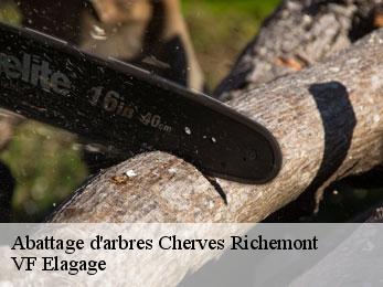 Abattage d'arbres  cherves-richemont-16370 VF Elagage
