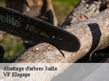 Abattage d'arbres juille-16230 VF Elagage