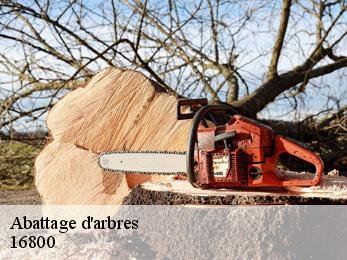 Abattage d'arbres  16800