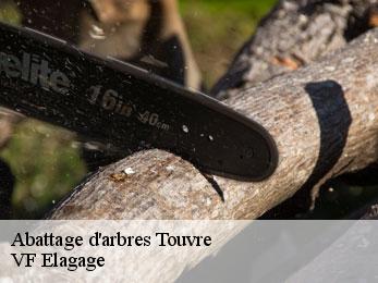 Abattage d'arbres touvre-16600 VF Elagage