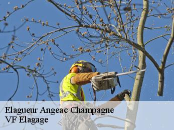 Elagueur  angeac-champagne-16130 VF Elagage