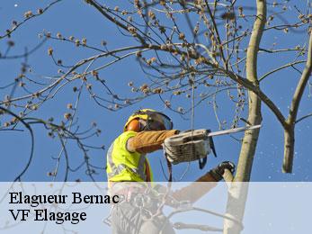 Elagueur  bernac-16700 VF Elagage