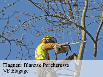Elagueur blanzac-porcheresse-16250 VF Elagage