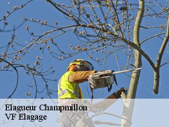 Elagueur champmillon-16290 VF Elagage