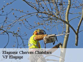 Elagueur  cherves-chatelars-16310 VF Elagage