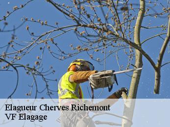 Elagueur  cherves-richemont-16370 VF Elagage