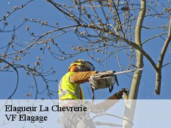 Elagueur la-chevrerie-16240 VF Elagage