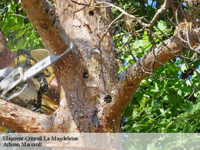 Elagueur  criteuil-la-magdeleine-16300 Artisan Marsault