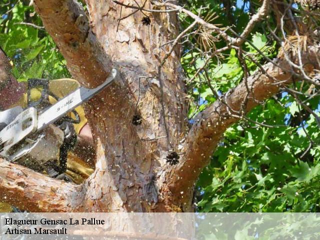Elagueur gensac-la-pallue-16130 Artisan Marsault