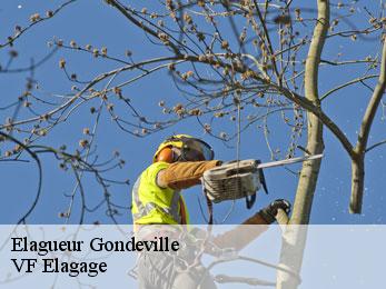Elagueur  gondeville-16200 VF Elagage