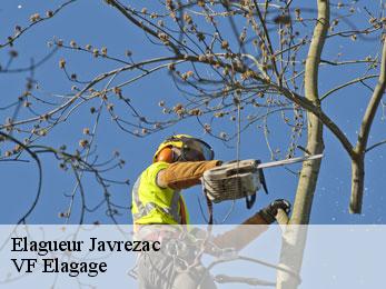 Elagueur javrezac-16100 VF Elagage