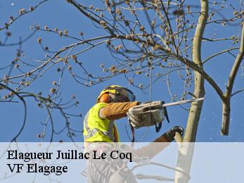 Elagueur  juillac-le-coq-16130 VF Elagage