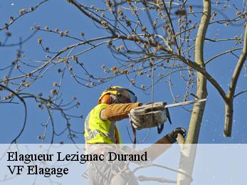 Elagueur  lezignac-durand-16310 VF Elagage