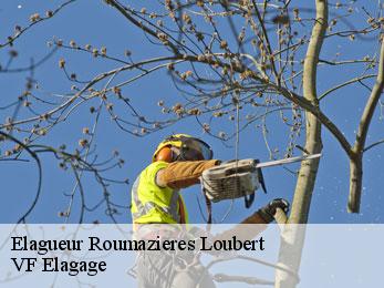 Elagueur  roumazieres-loubert-16270 VF Elagage