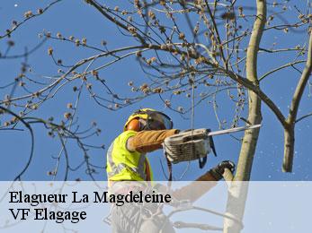 Elagueur  la-magdeleine-16240 VF Elagage