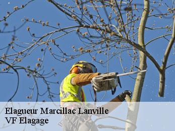 Elagueur  marcillac-lanville-16140 VF Elagage
