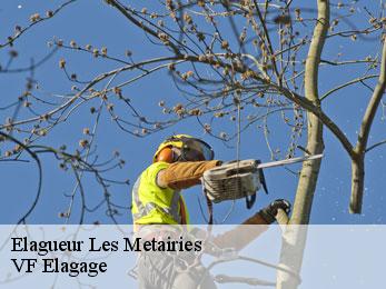 Elagueur  les-metairies-16200 VF Elagage
