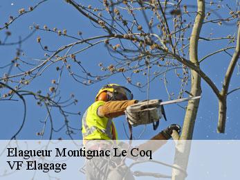 Elagueur  montignac-le-coq-16390 VF Elagage