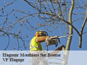 Elagueur mouthiers-sur-boeme-16440 VF Elagage