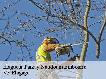 Elagueur paizay-naudouin-embourie-16240 VF Elagage