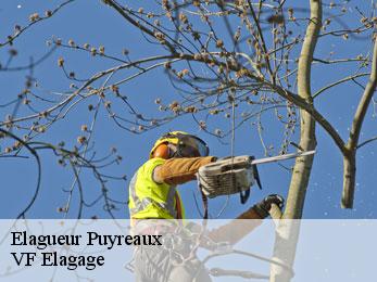 Elagueur  puyreaux-16230 VF Elagage
