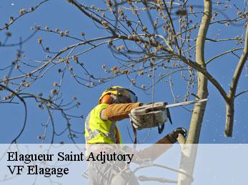 Elagueur saint-adjutory-16310 VF Elagage
