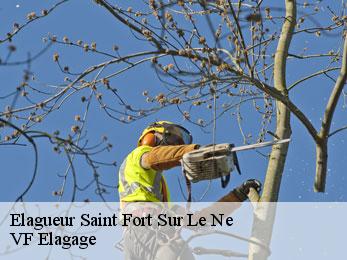 Elagueur  saint-fort-sur-le-ne-16130 VF Elagage