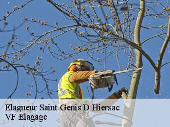 Elagueur saint-genis-d-hiersac-16570 VF Elagage