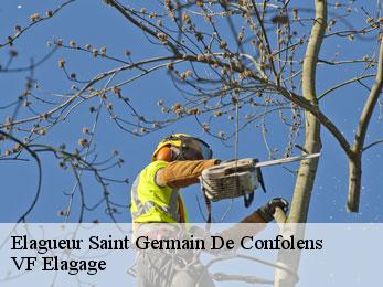 Elagueur  saint-germain-de-confolens-16500 VF Elagage
