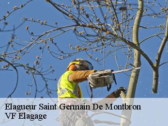 Elagueur  saint-germain-de-montbron-16380 VF Elagage