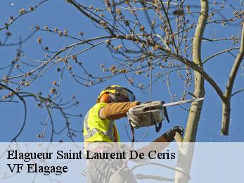Elagueur  saint-laurent-de-ceris-16450 VF Elagage