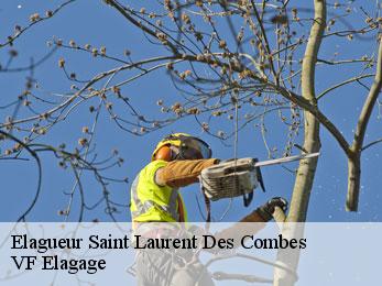 Elagueur  saint-laurent-des-combes-16480 VF Elagage