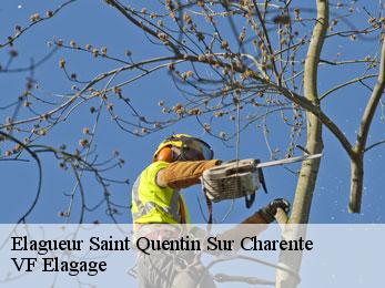 Elagueur saint-quentin-sur-charente-16150 VF Elagage